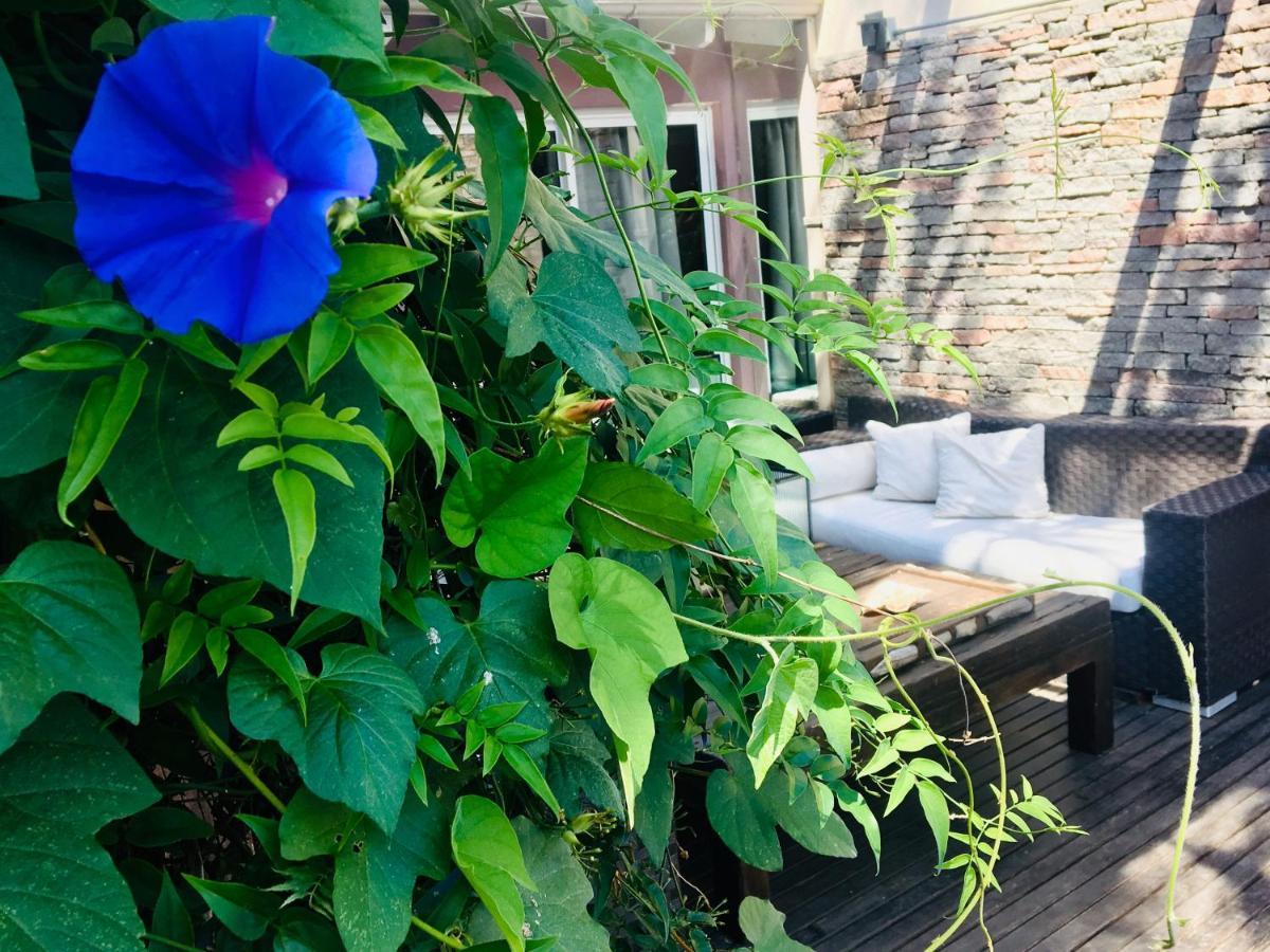 Cool Clima Bed & Breakfast Olivos Ngoại thất bức ảnh