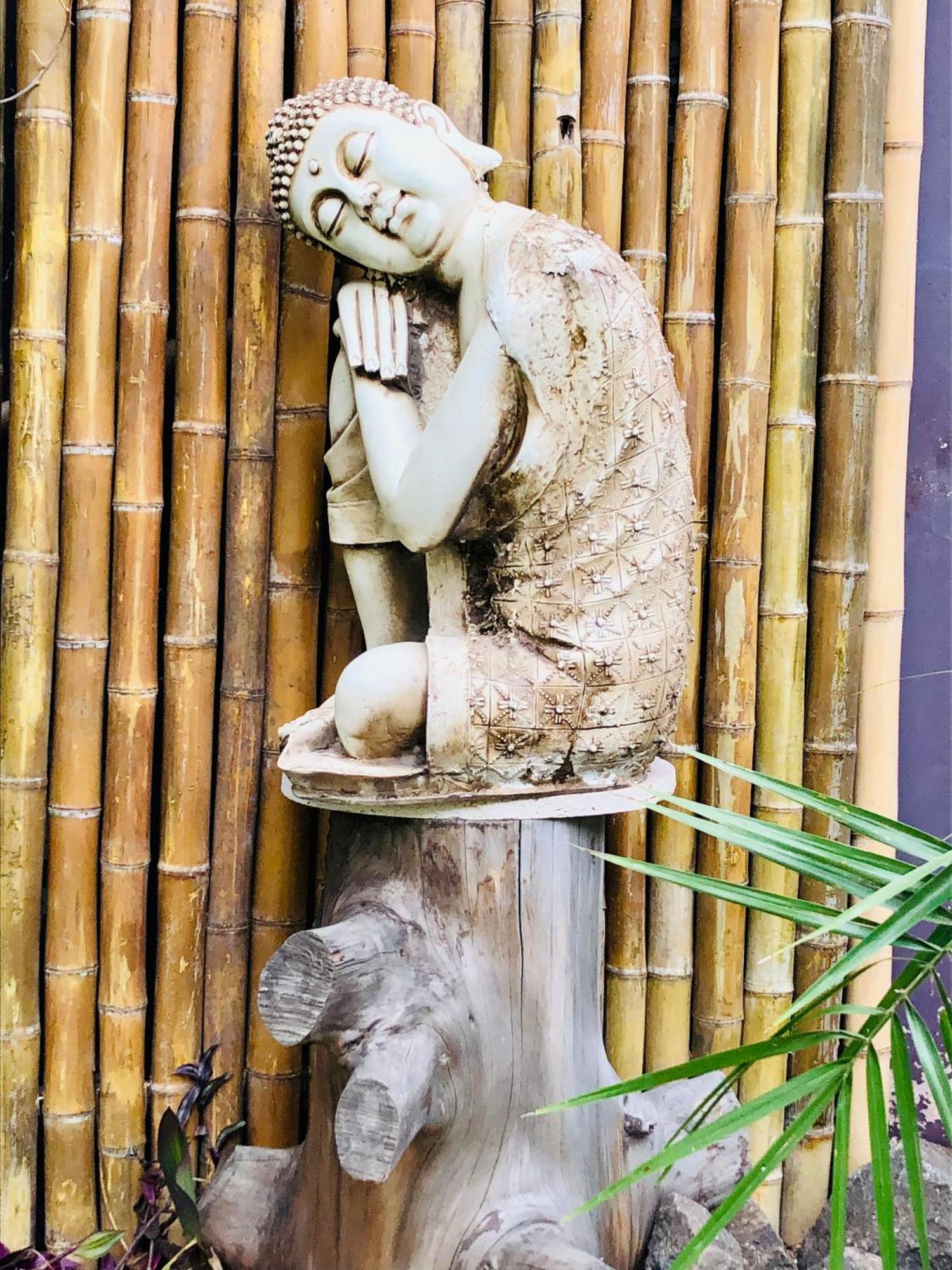 Cool Clima Bed & Breakfast Olivos Ngoại thất bức ảnh