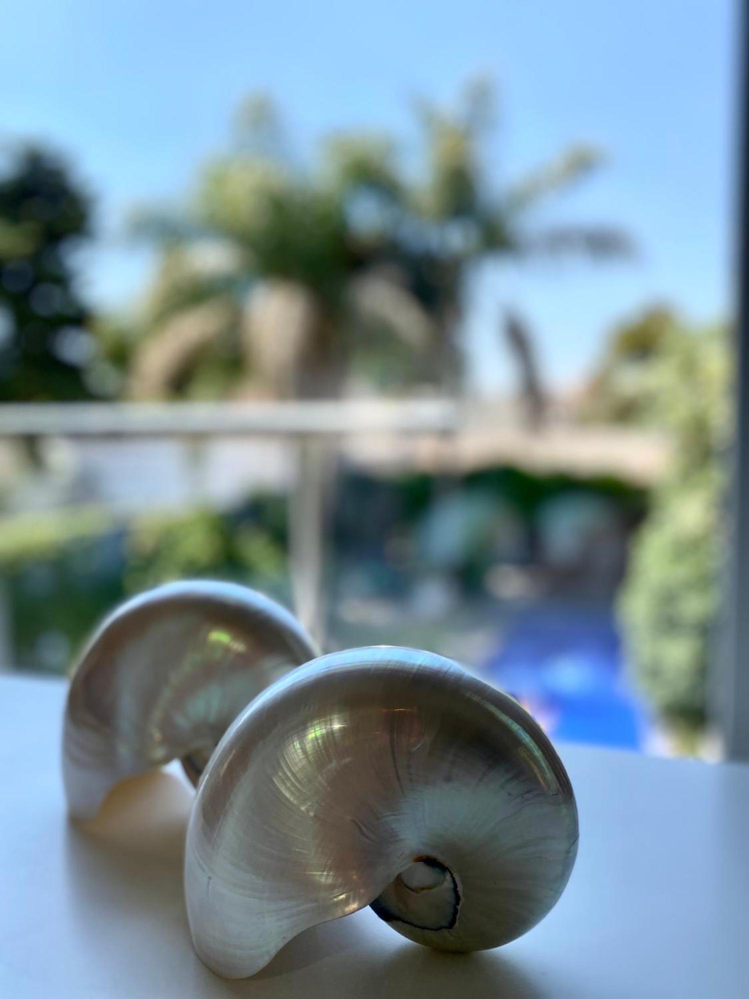 Cool Clima Bed & Breakfast Olivos Ngoại thất bức ảnh