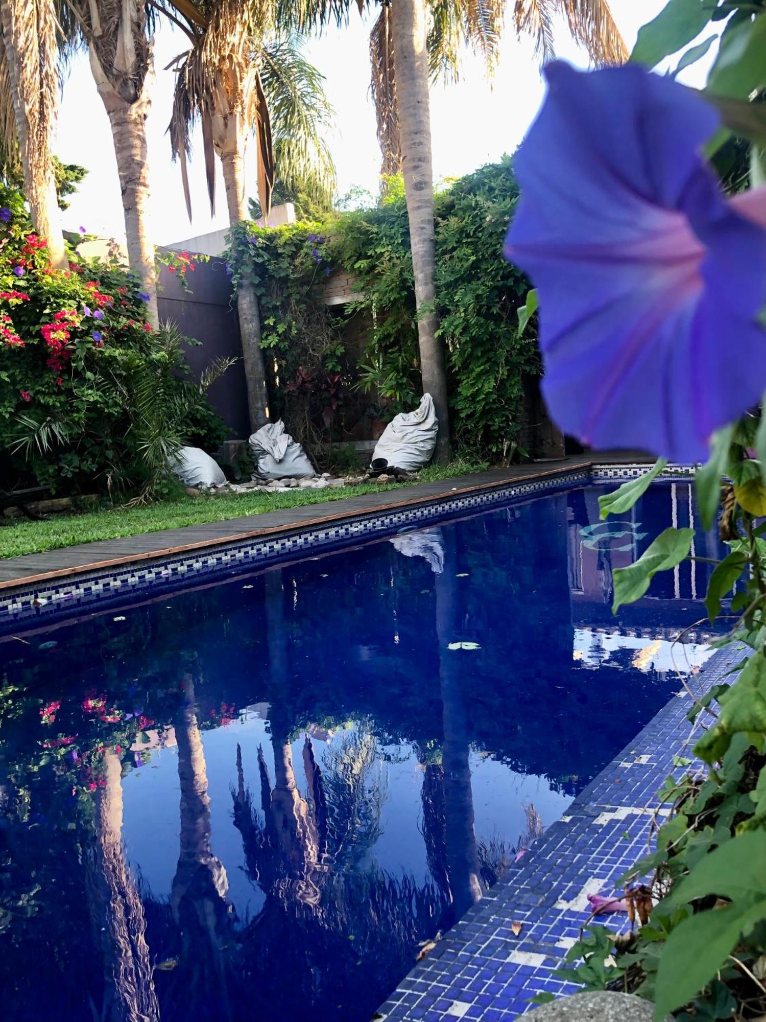 Cool Clima Bed & Breakfast Olivos Ngoại thất bức ảnh
