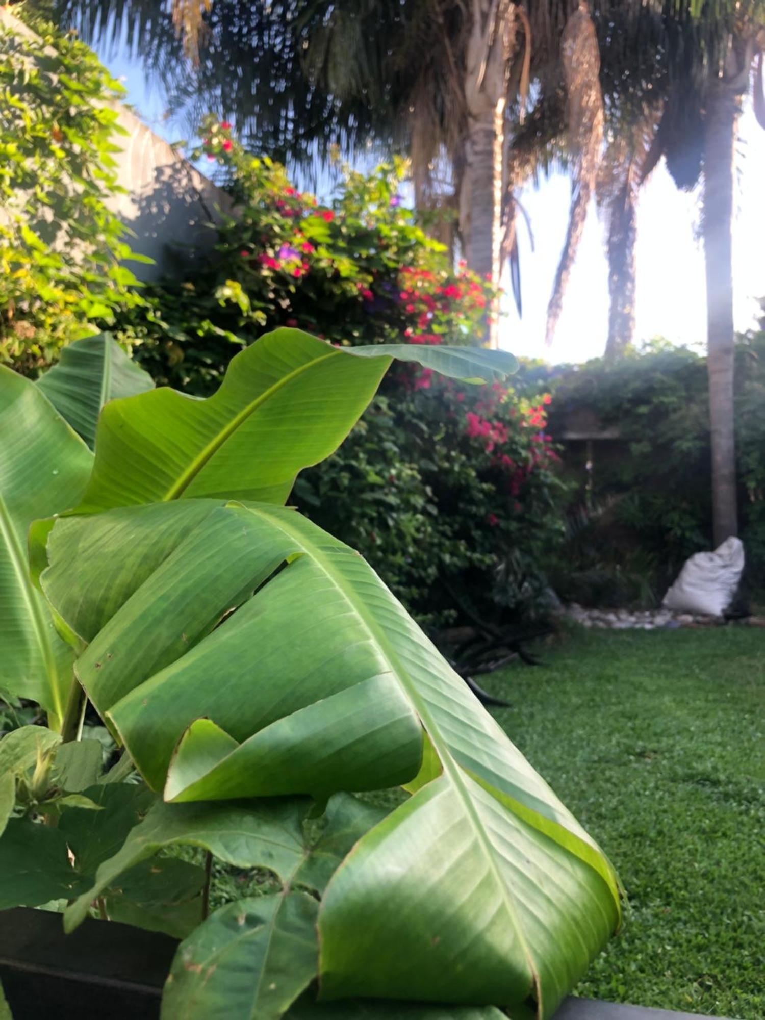 Cool Clima Bed & Breakfast Olivos Ngoại thất bức ảnh